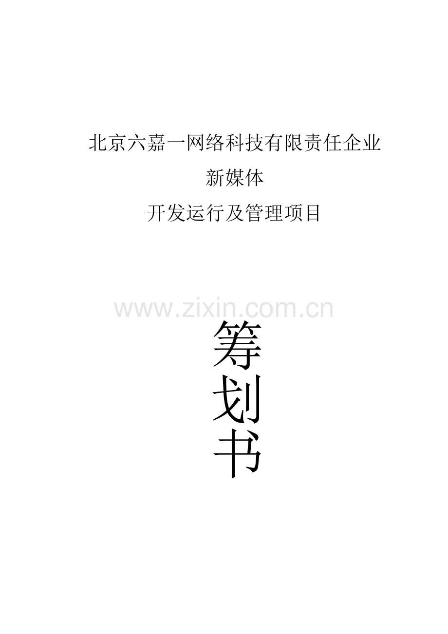 新媒体开发运营策划书.docx_第1页