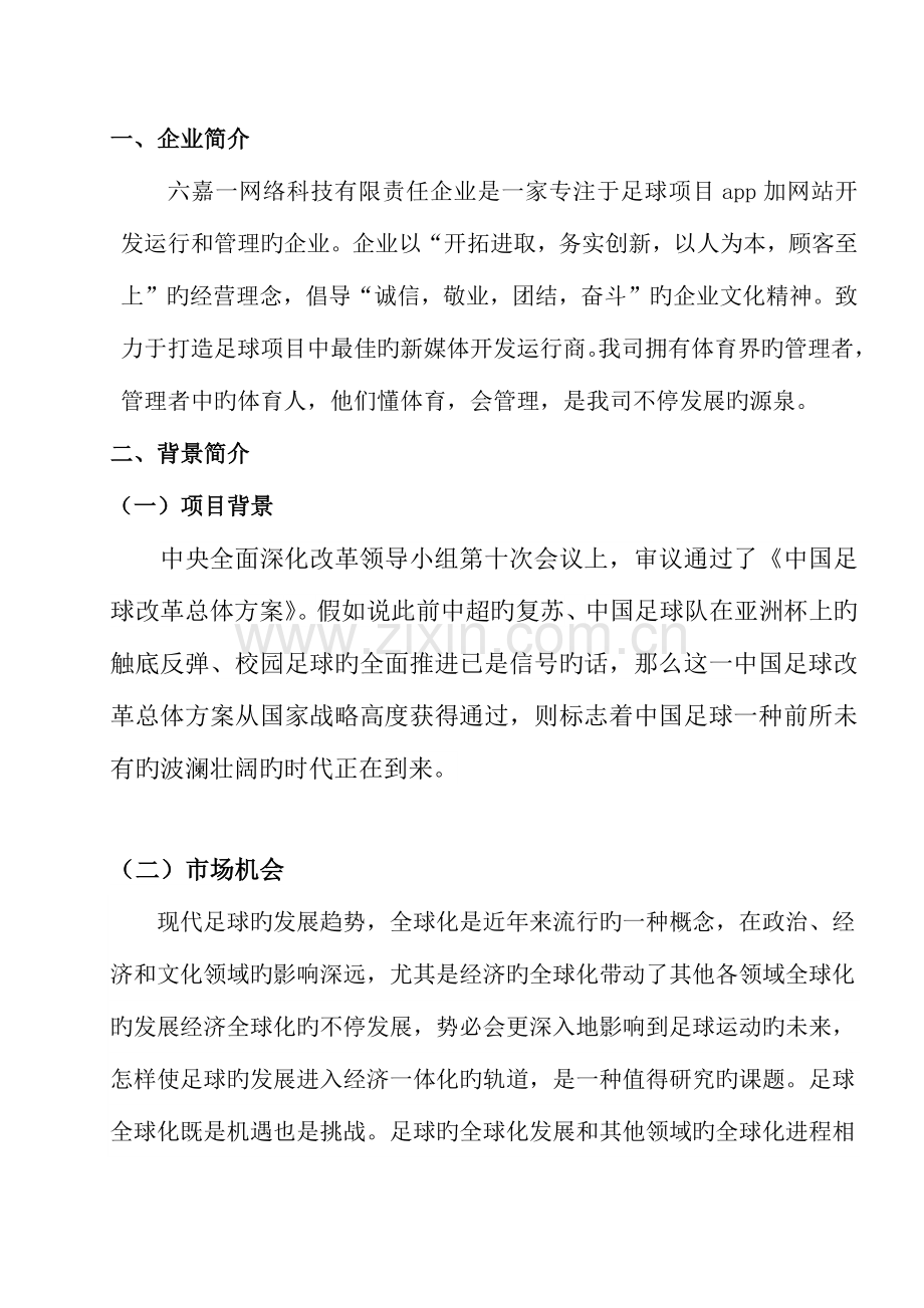 新媒体开发运营策划书.docx_第2页
