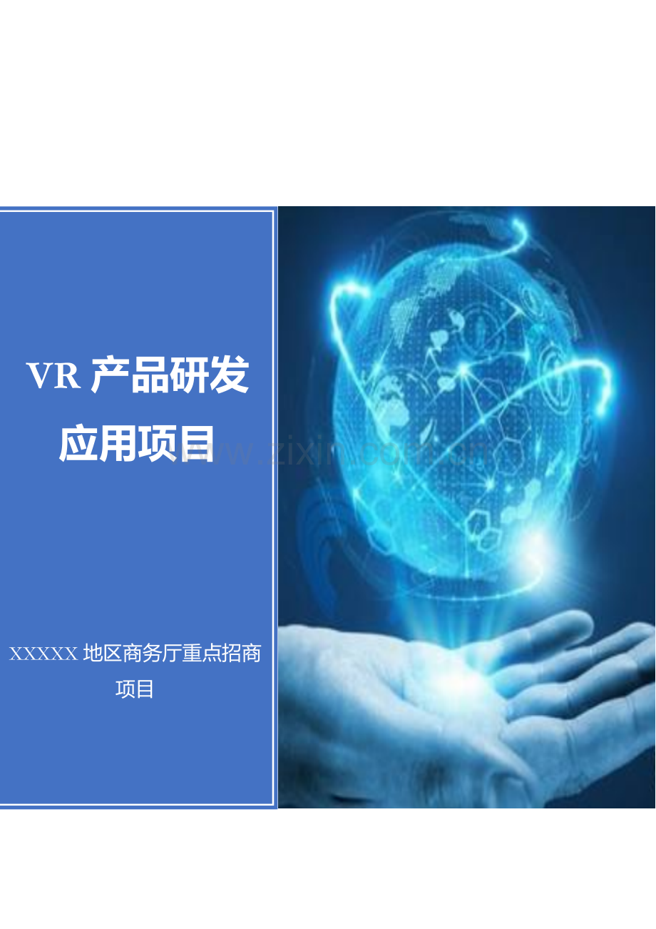 VR产品研发应用项目可行性研究报告.docx_第1页