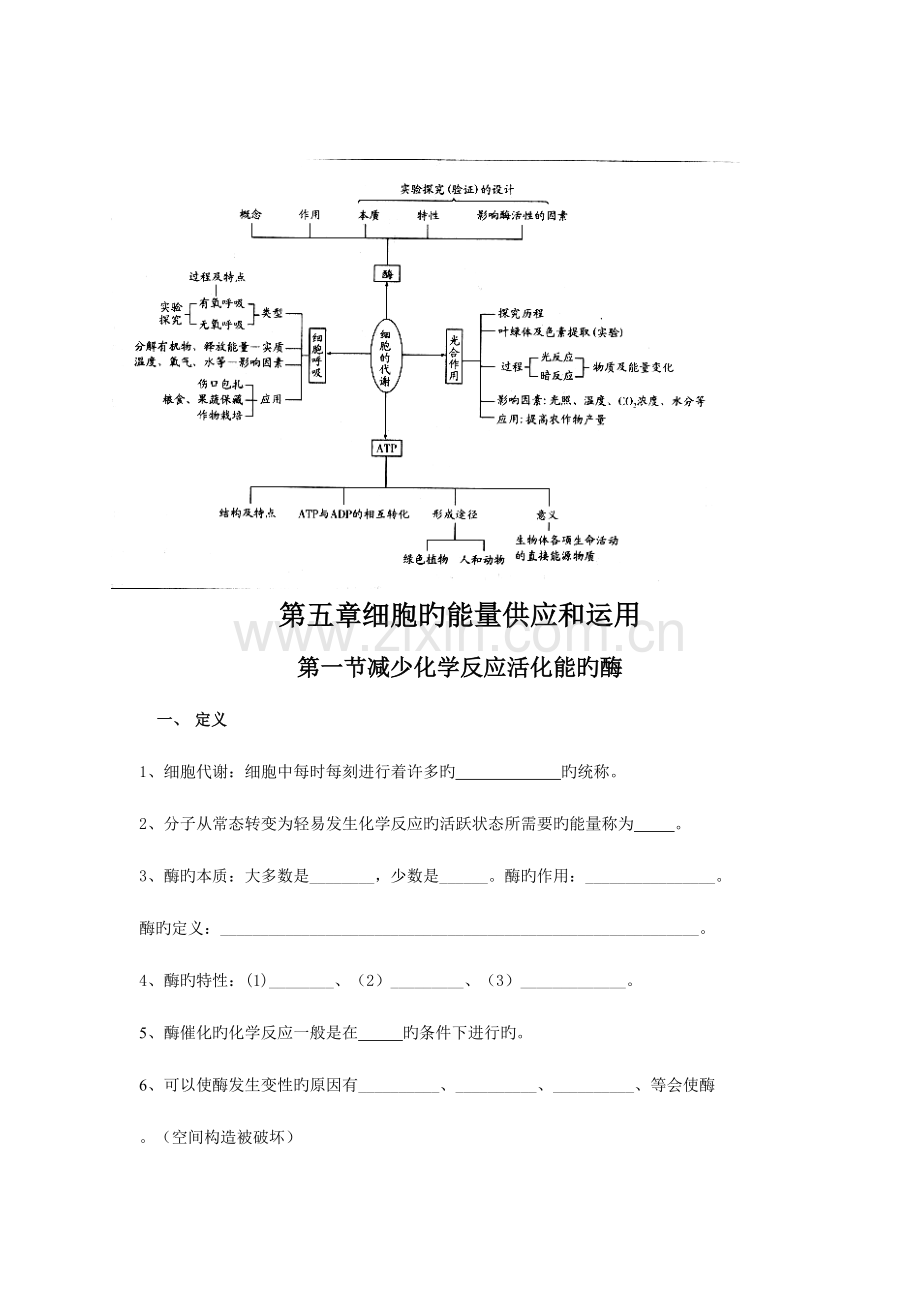2023年降低化学反应活化能的酶知识点整理gai.doc_第1页