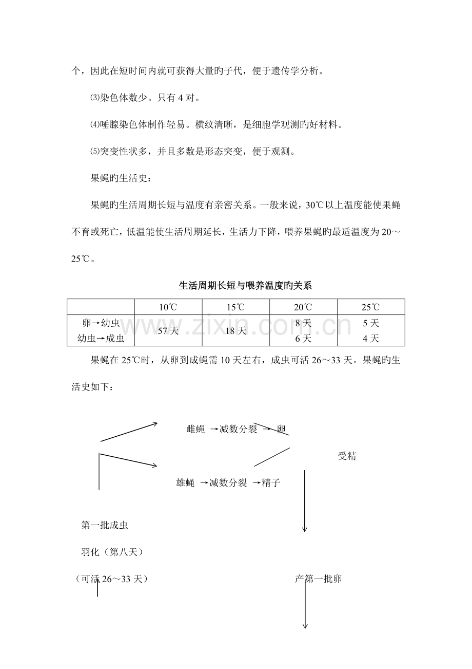 2023年果蝇杂交实验实验报告.doc_第2页