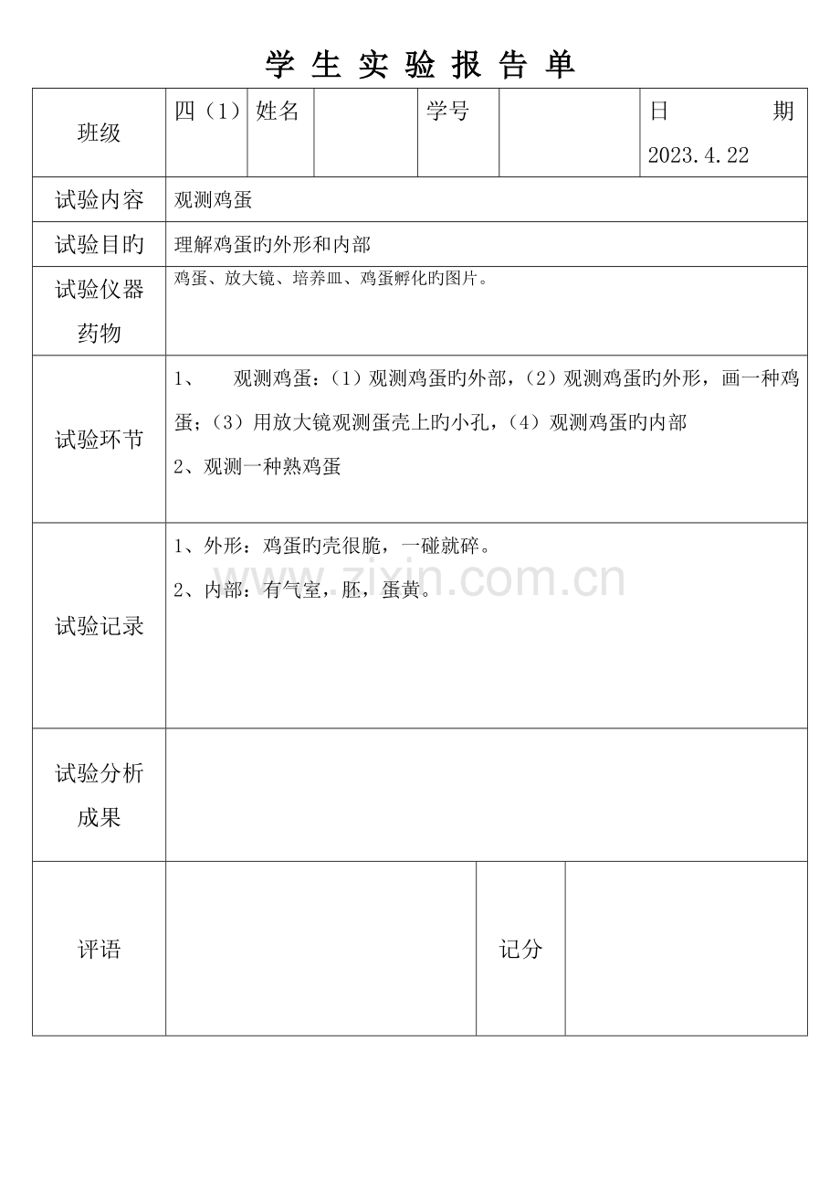 2023年观察鸡蛋实验报告单.doc_第1页
