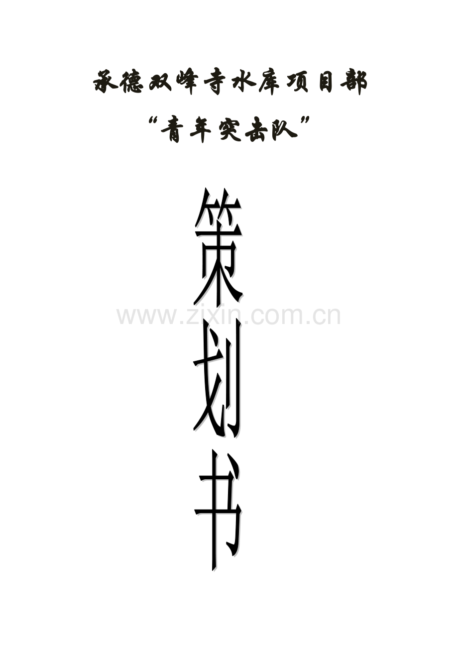 青年突击队策划书正式版.doc_第1页