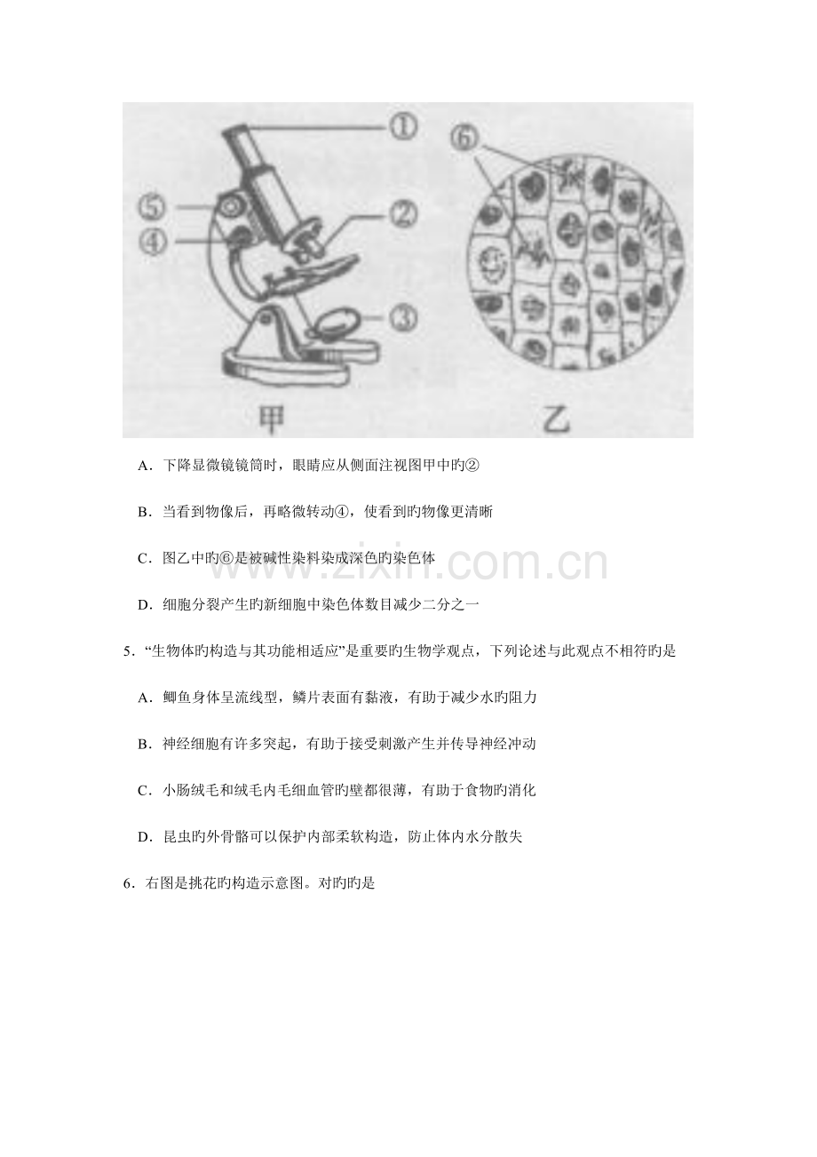 2023年安徽省八年级学业水平考试生物试卷及答案.docx_第2页