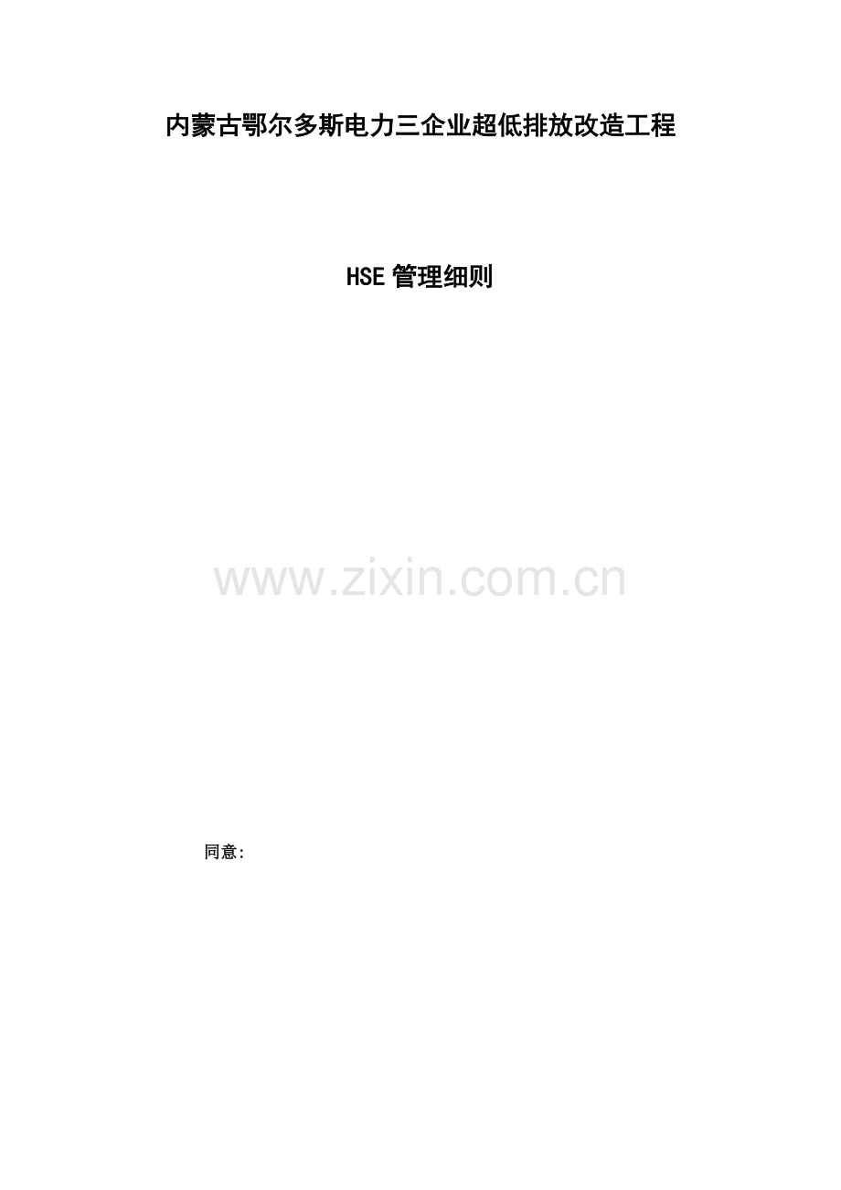 HSE管理细则措施.doc_第1页