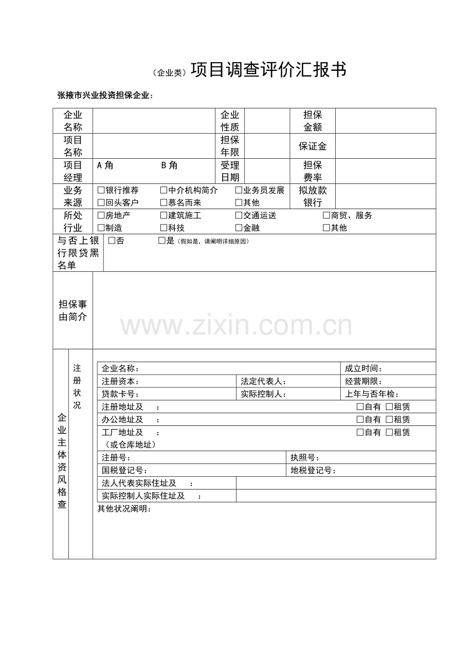 企业类项目调查评价报告书.doc_第1页