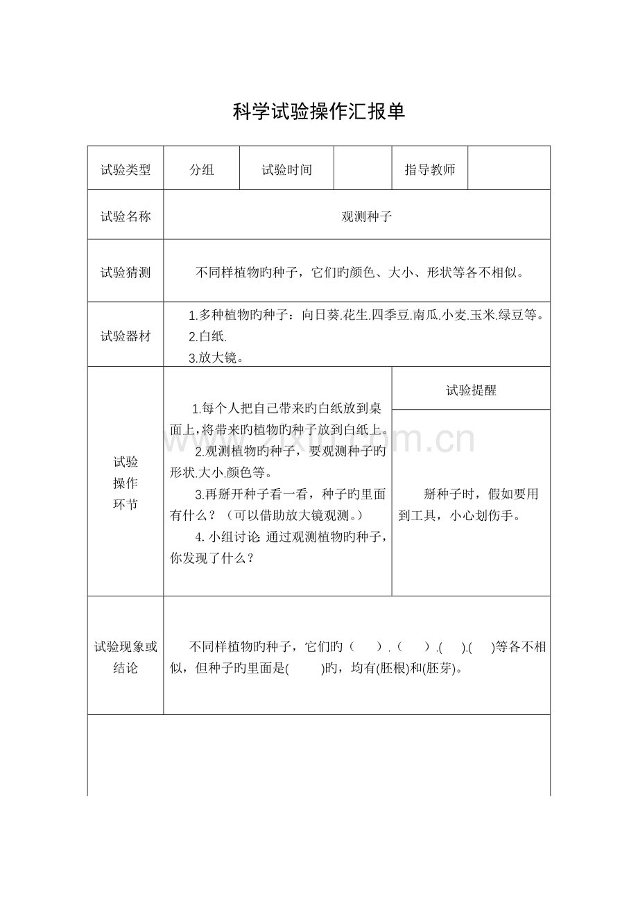 2023年教科版三年级科学下全册实验报告单课件.doc_第1页