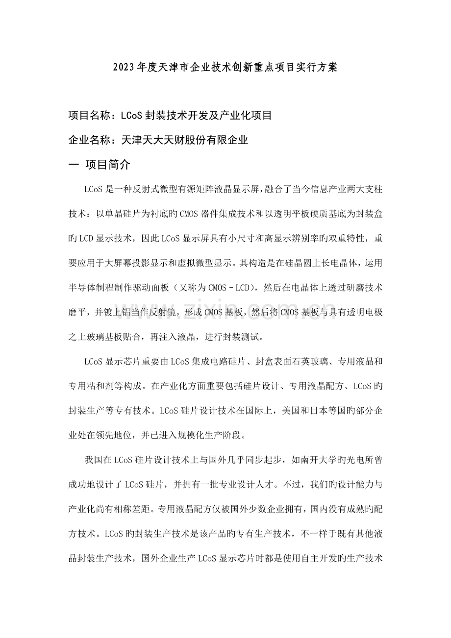 企业技术创新重点项目实施方案.doc_第1页