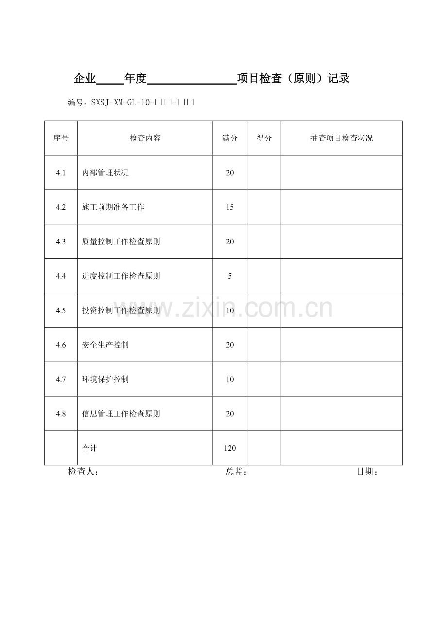 公司年项目检查标准记录.doc_第1页