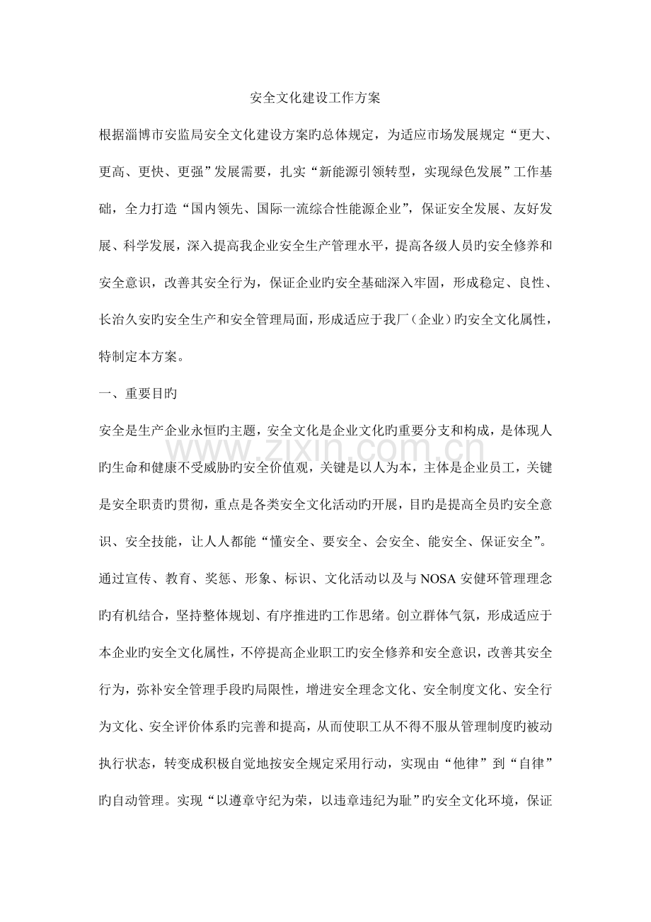 安全文化建设工作方案.doc_第1页