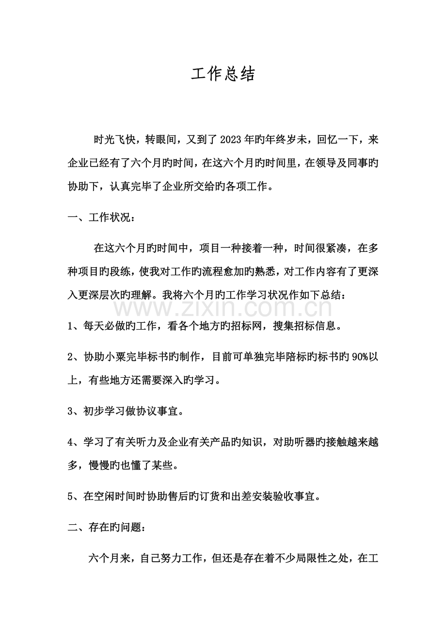 投标工作总结.docx_第1页