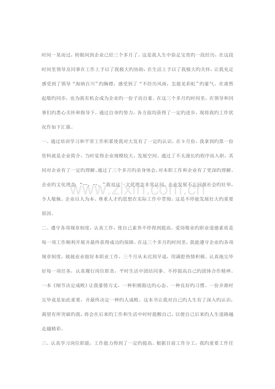 转正工作总结与规划.docx_第1页