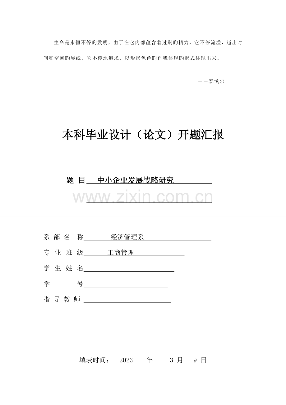 中小企业发展战略研究开题报告.doc_第1页