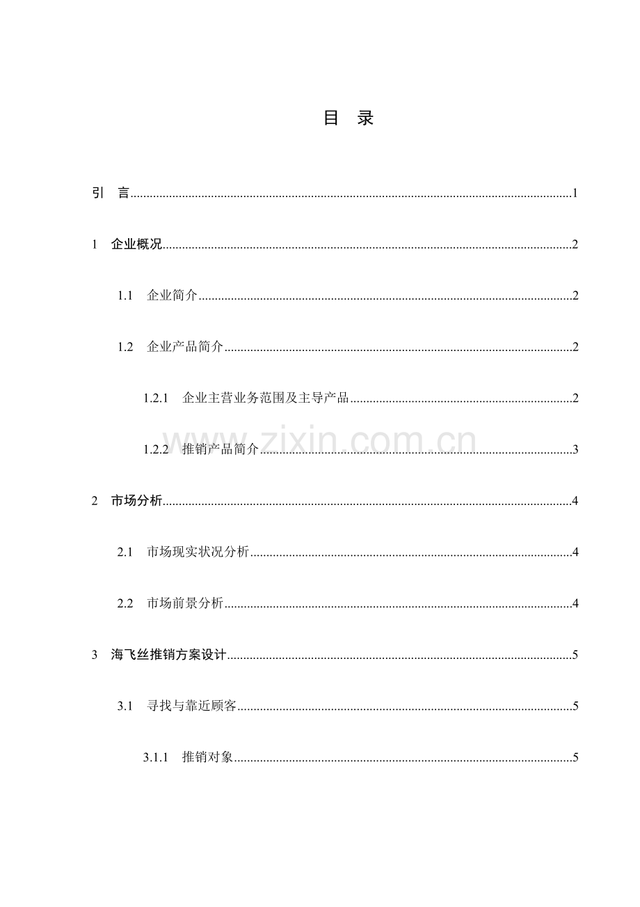 海飞丝市场推销方案设计.doc_第2页