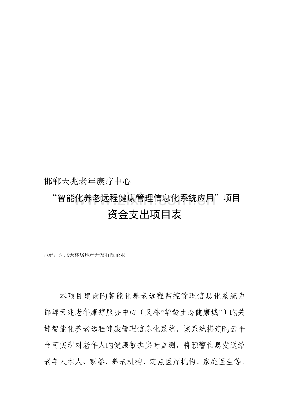 智能化养老远程健康管理信息化系统资金支出项目表.doc_第1页