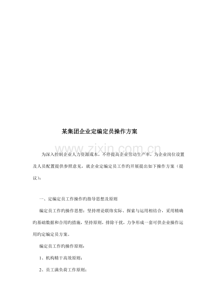 集团公司定编定员操作方案.doc_第1页