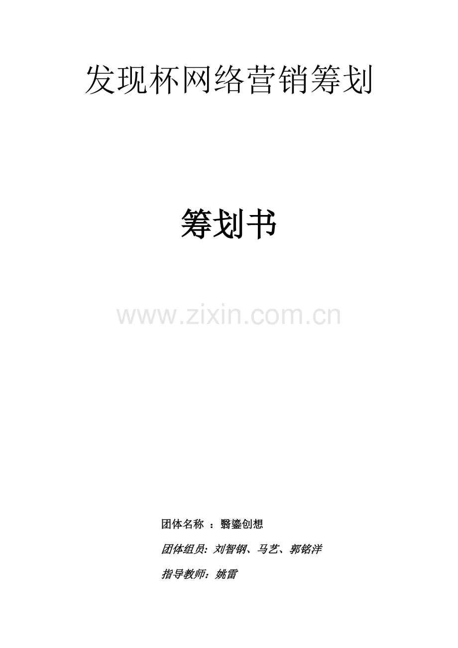 团队网络营销方案.docx_第1页