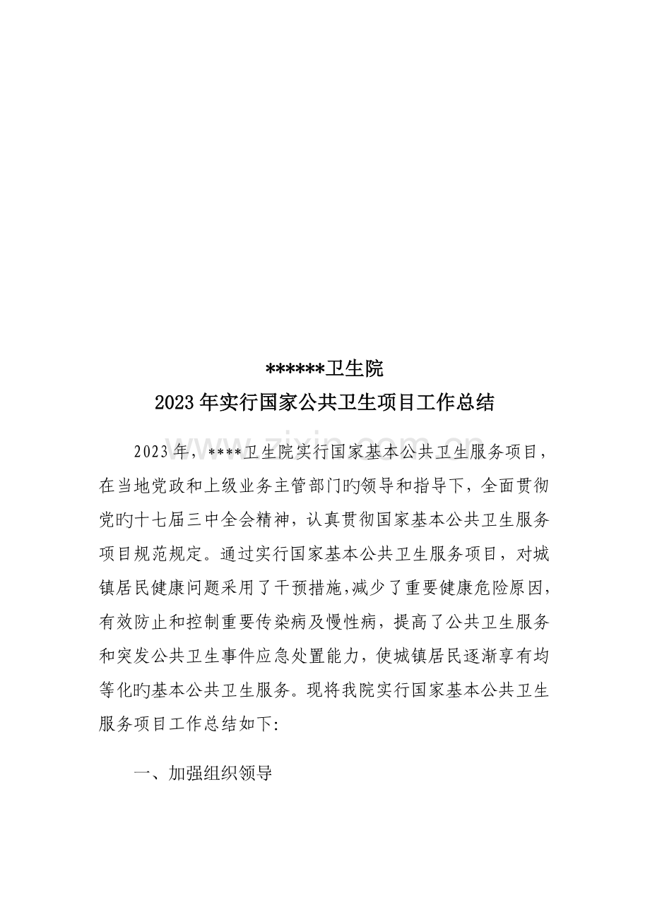 公共卫生项目总结.doc_第1页