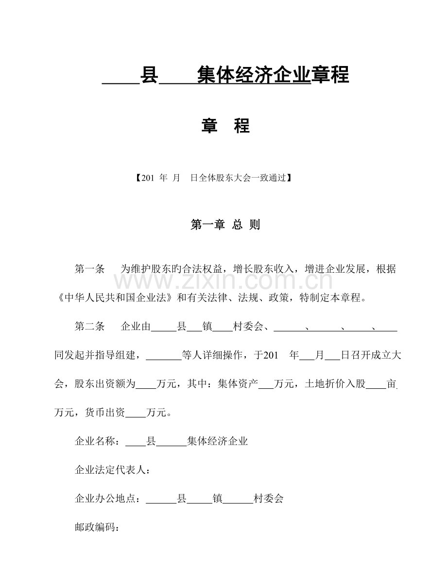 村集体经济公司章程.doc_第1页