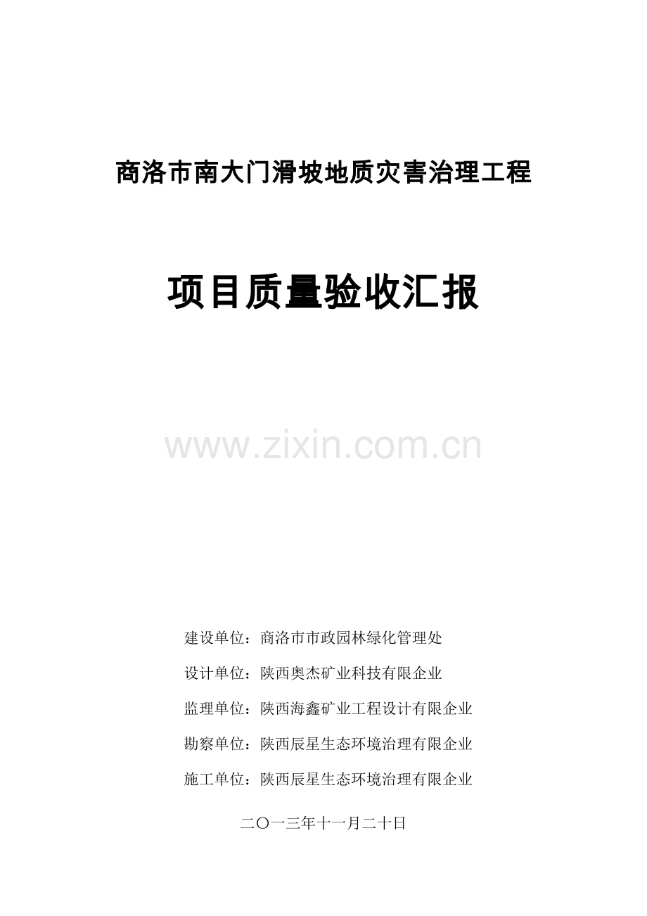 项目质量验收报告.doc_第1页