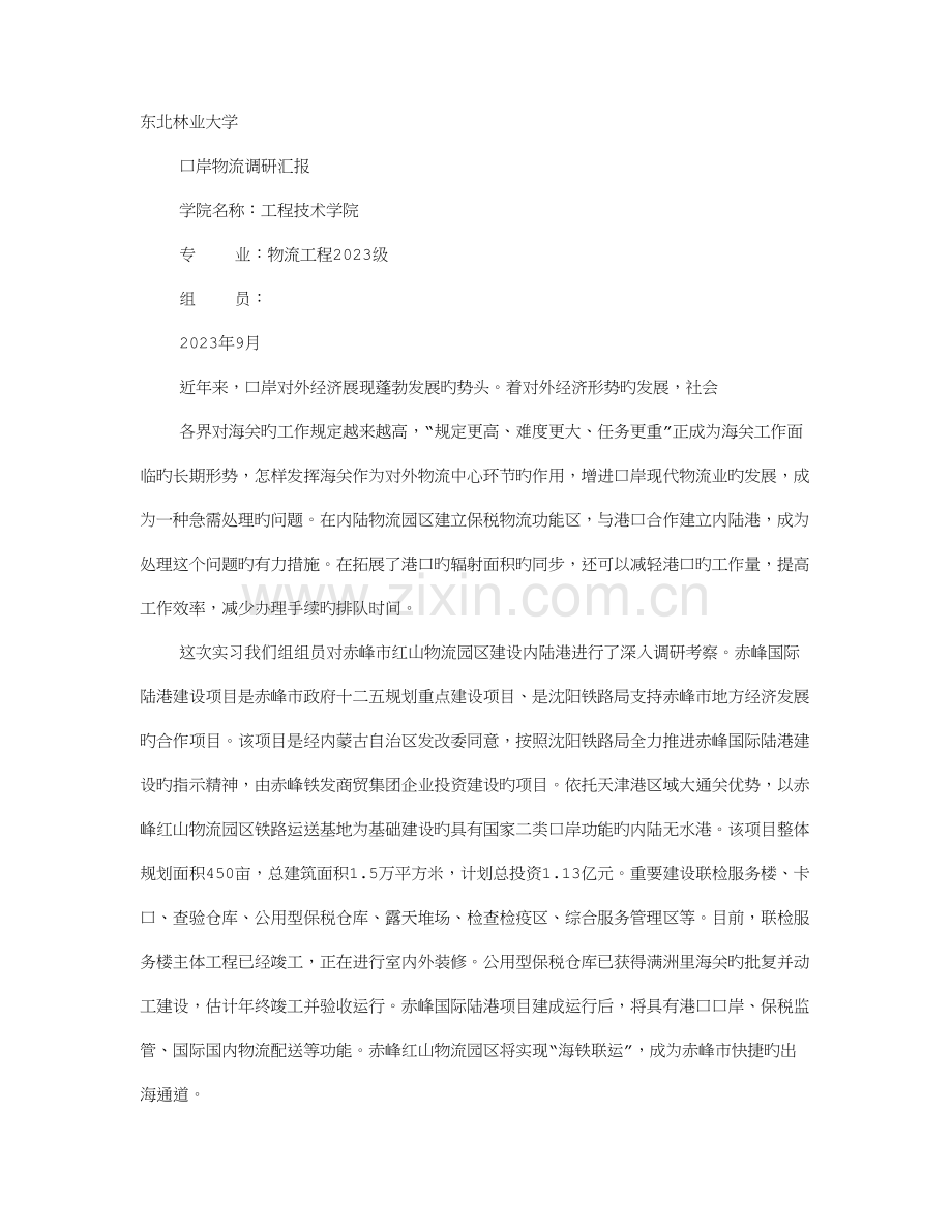 口岸调研报告.doc_第1页