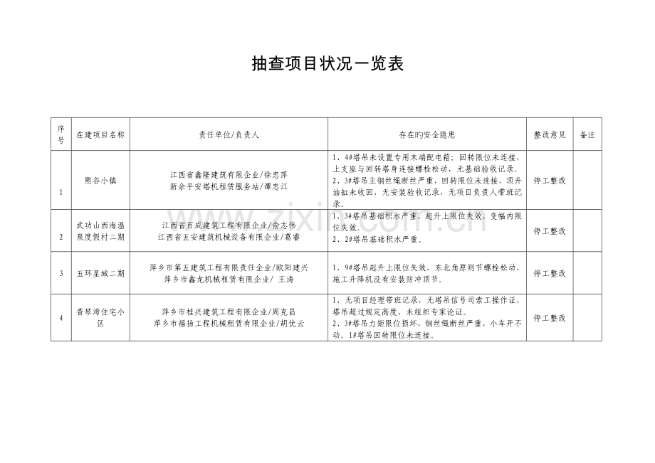 抽查项目情况一览表.doc_第1页