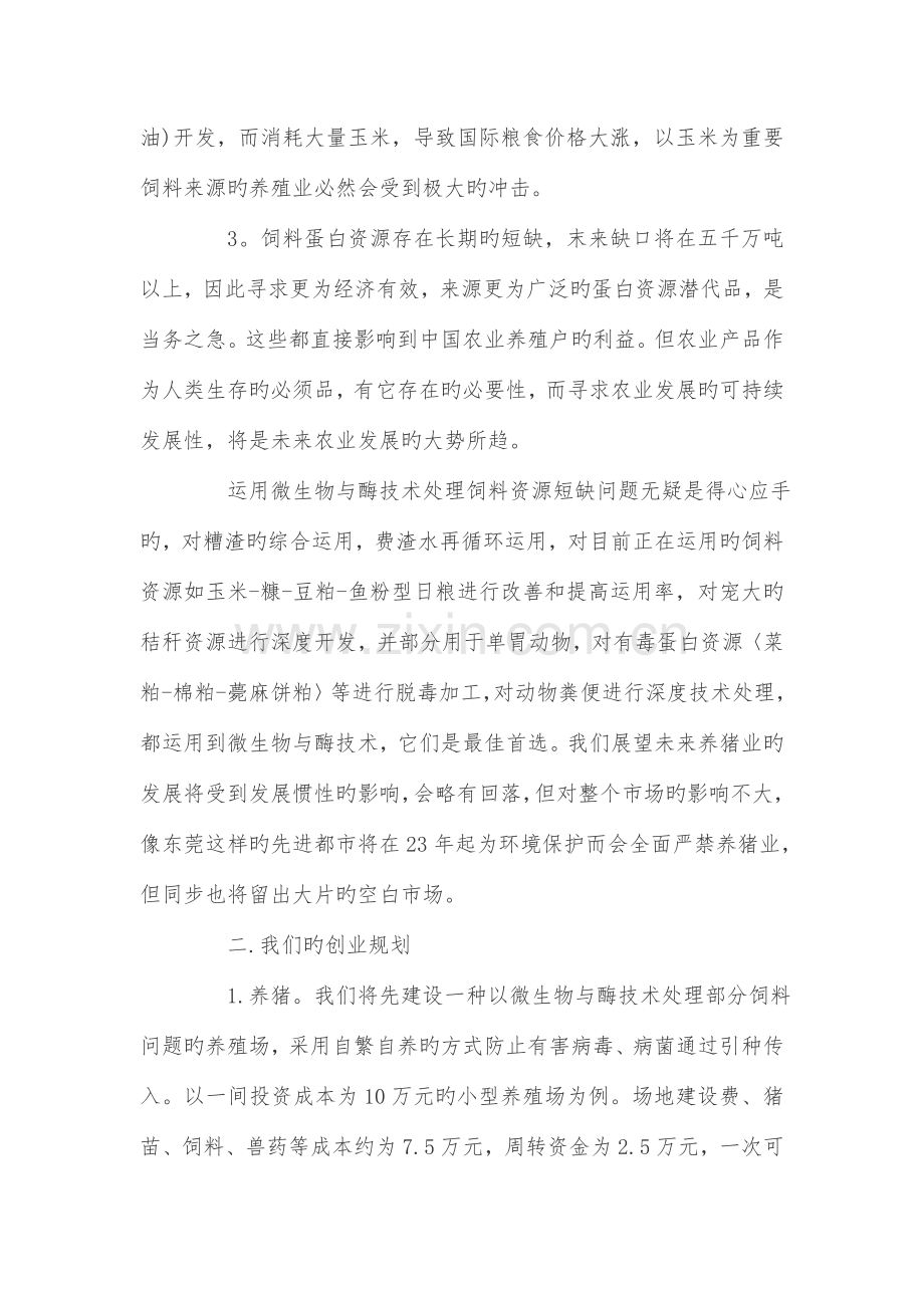 乡村创业企划书.doc_第2页
