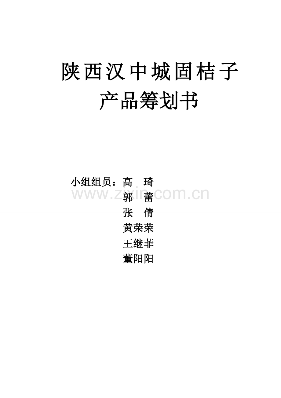城固桔子产品策划书.doc_第1页