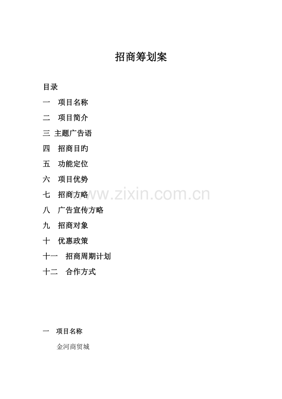 金河商贸城招商方案.doc_第1页