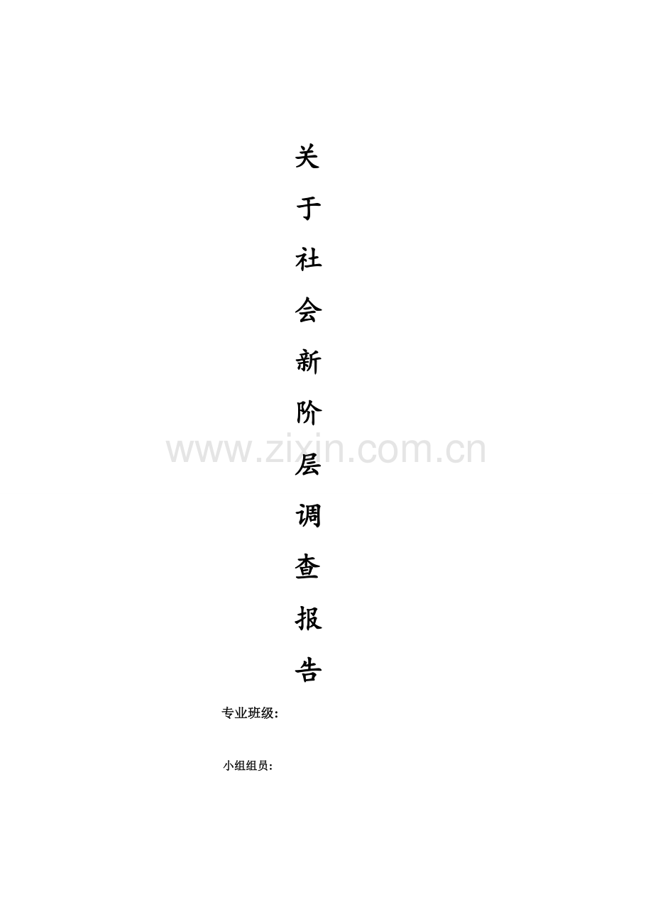 社会新阶层调查报告.doc_第1页