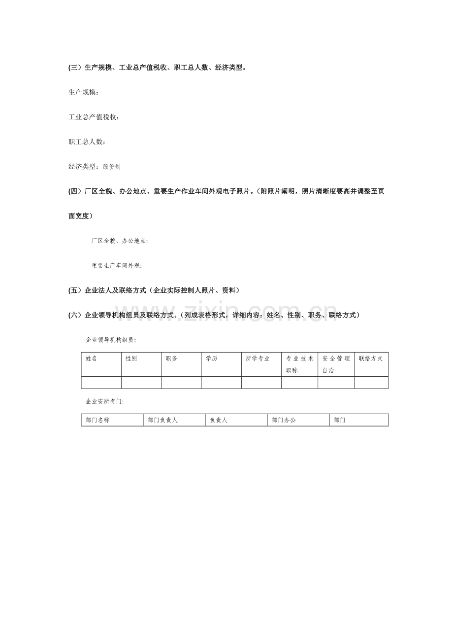 危化企业建档规范模式.doc_第2页