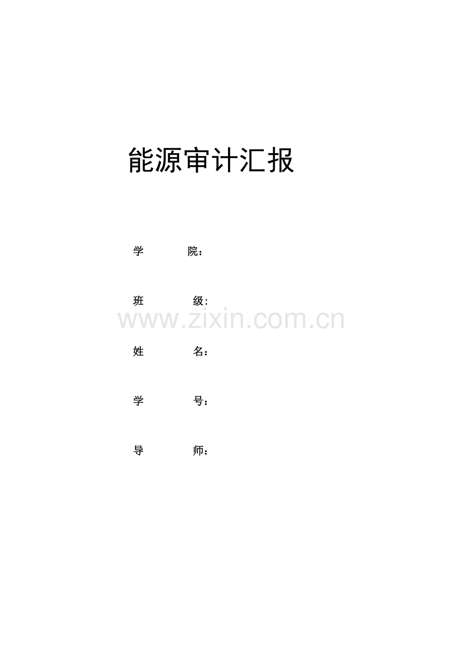 能源审计报告.docx_第1页