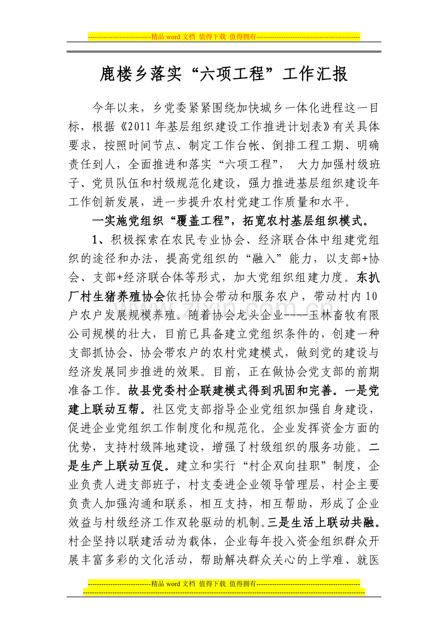 六项工程汇报.doc_第1页