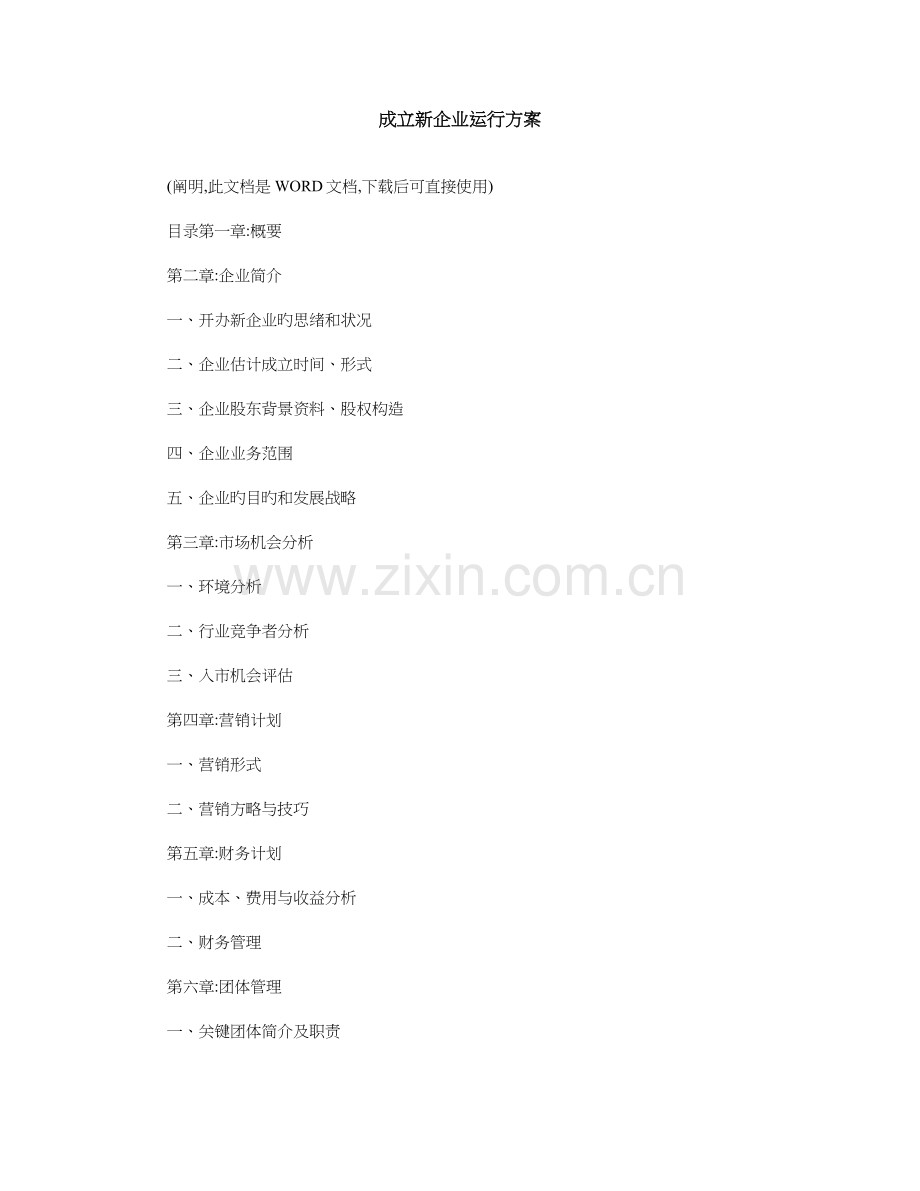 成立新公司运营方案.doc_第1页