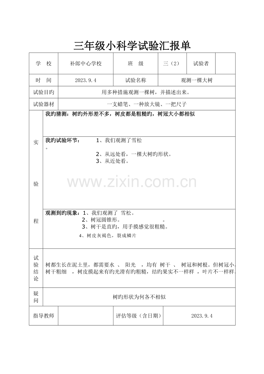2023年教科版三年级上册科学实验报告单2.doc_第1页