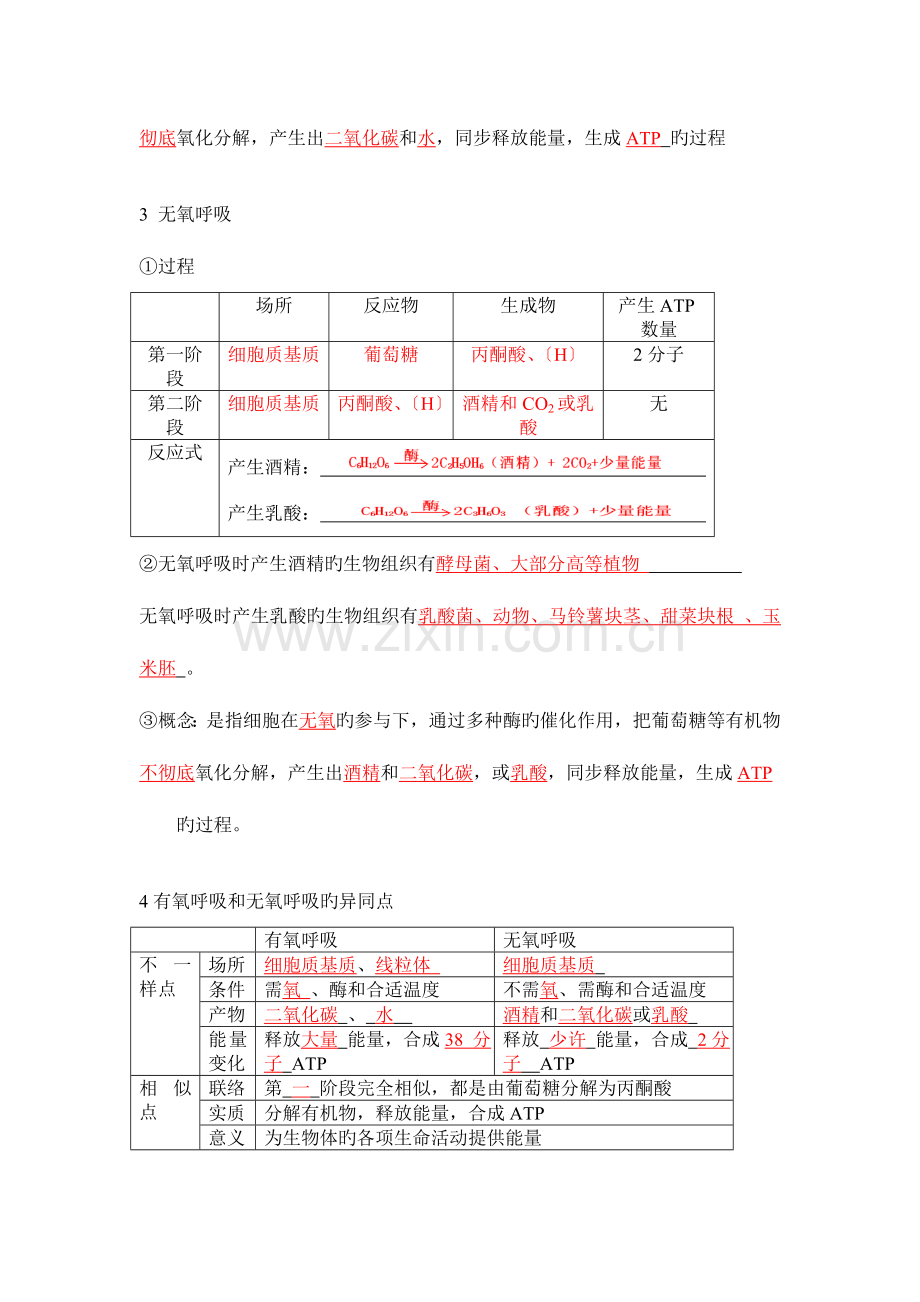 2023年高考生物专题细胞呼吸知识点及专题练习附解析.doc_第2页