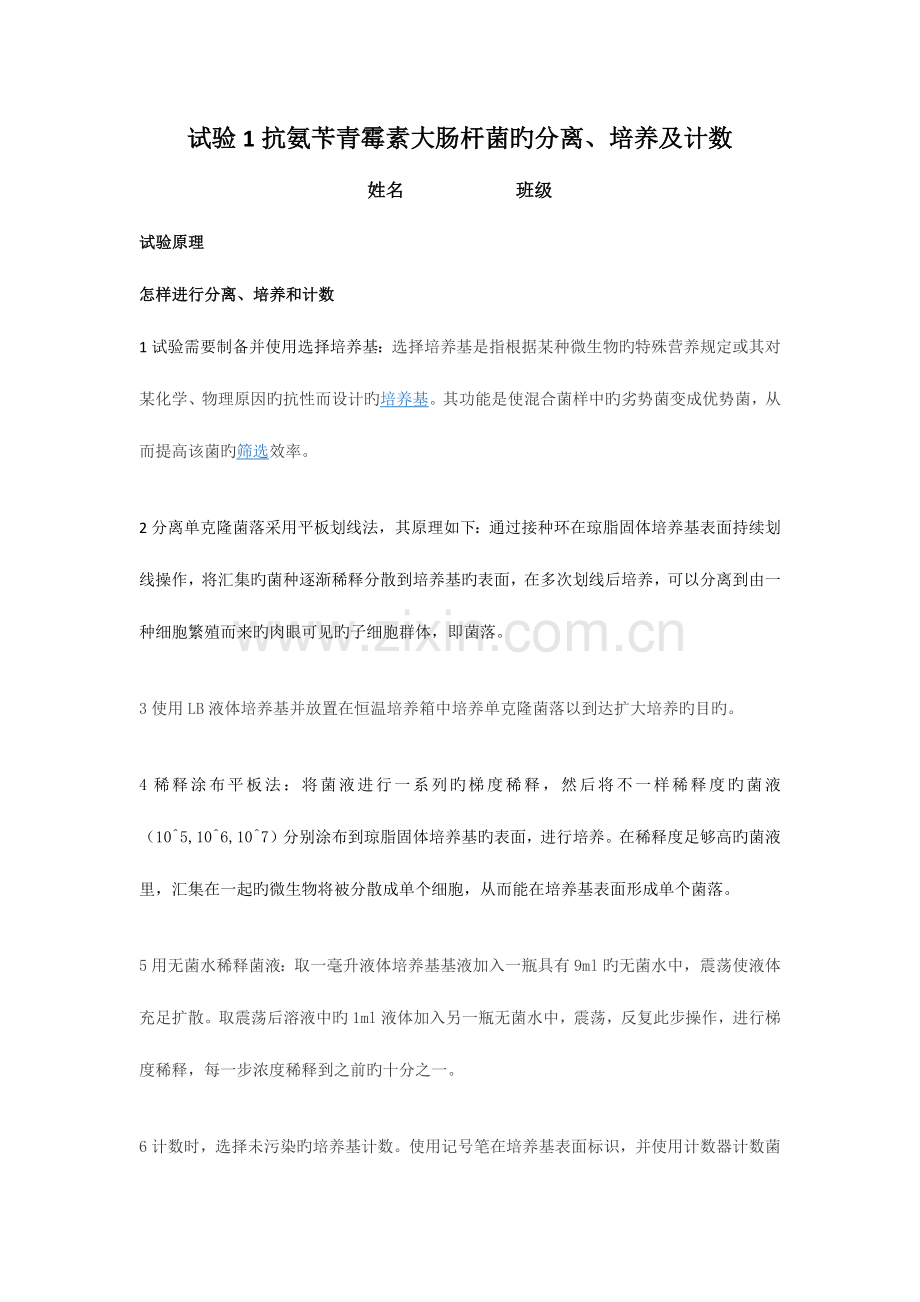 2023年抗氨苄青霉素大肠杆菌的分离培养及计数实验报告许佳泉.doc_第1页