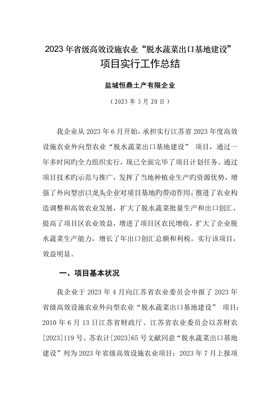 脱水蔬菜出口基地项目实施总结市站稿.doc_第1页