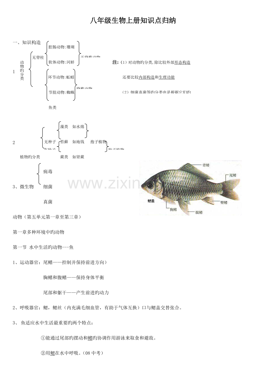 2023年八年级生物上册知识点总结全面.doc_第1页