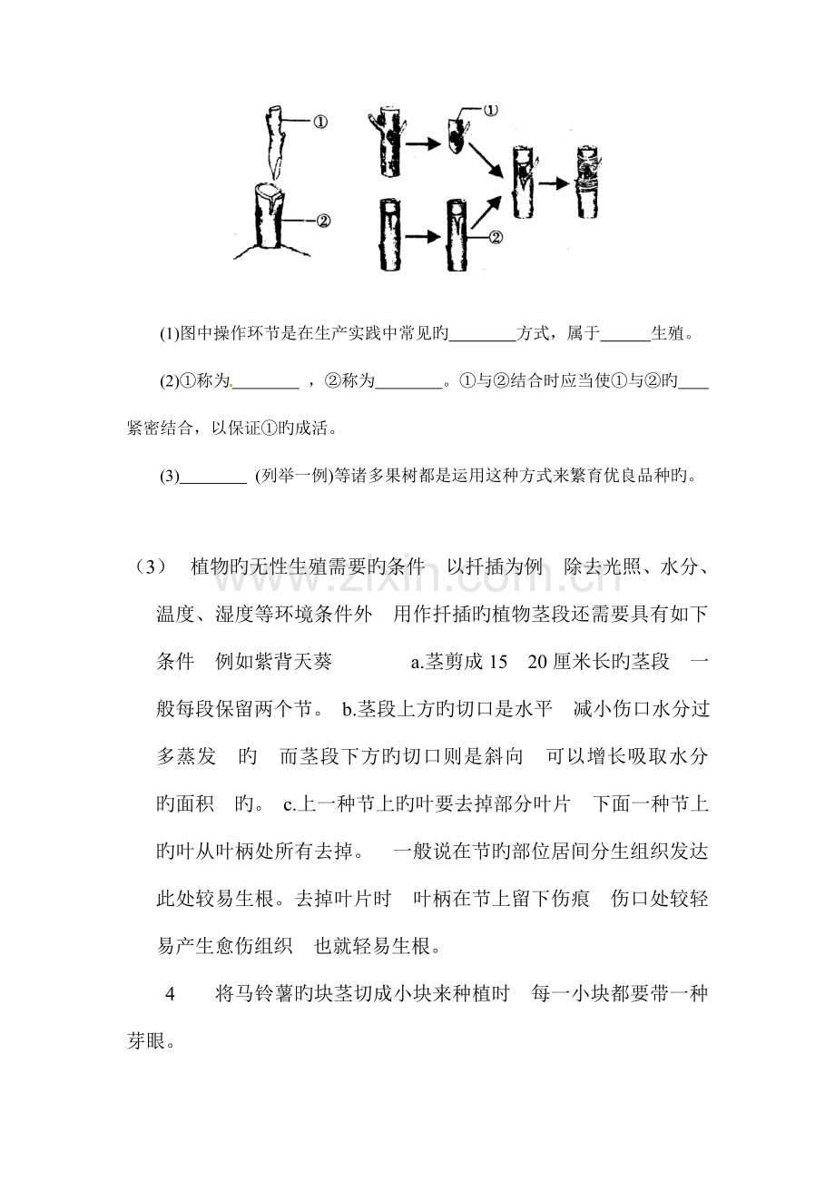 2023年人教版八年级生物下册知识点总结.doc_第2页