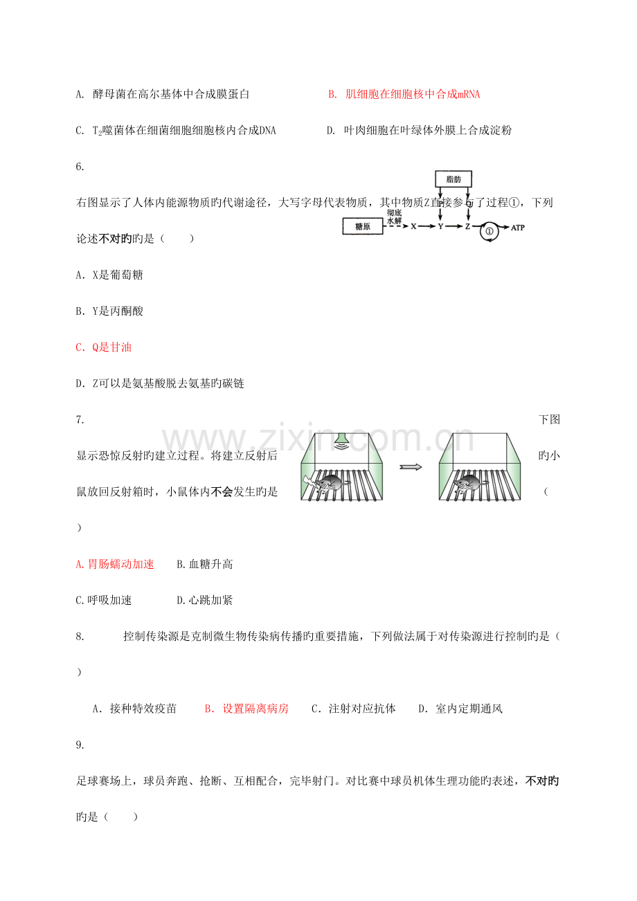 2023年上海市金山中学高三生物上学期期中试题(等级考试).doc_第2页