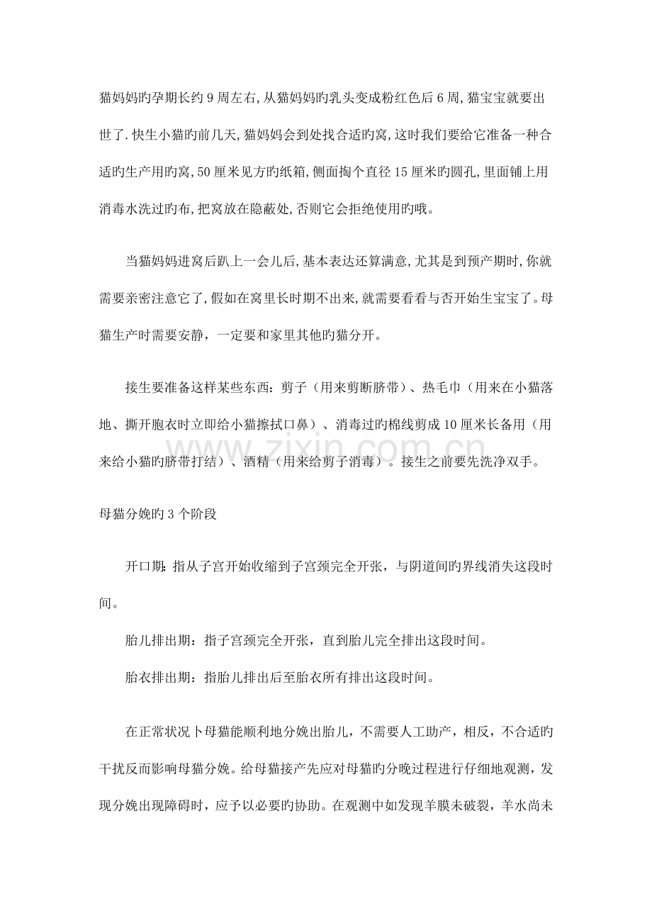 2023年怎样给猫接生全套攻略.doc_第1页