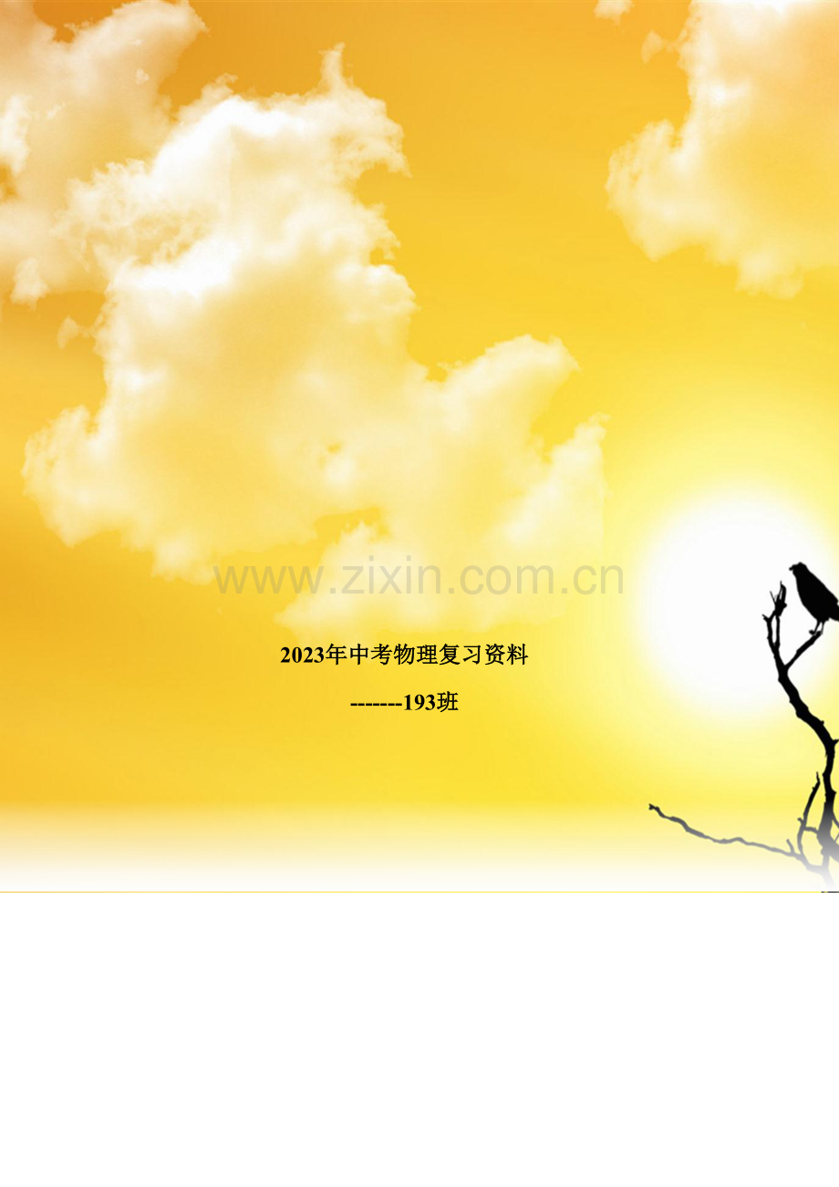 2023年初中物理总复习知识点归纳.doc_第1页