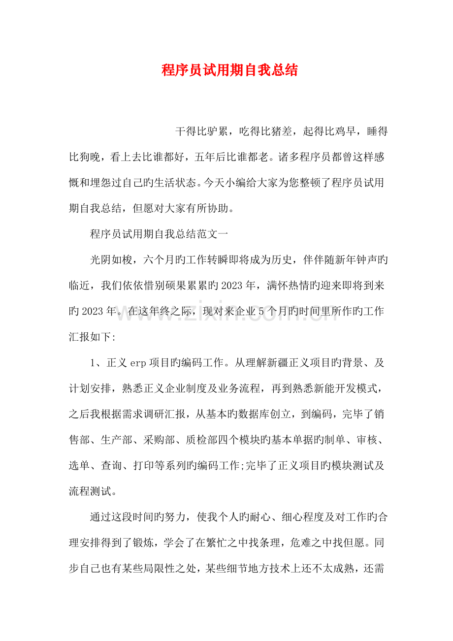 2023年程序员试用期自我总结.doc_第1页