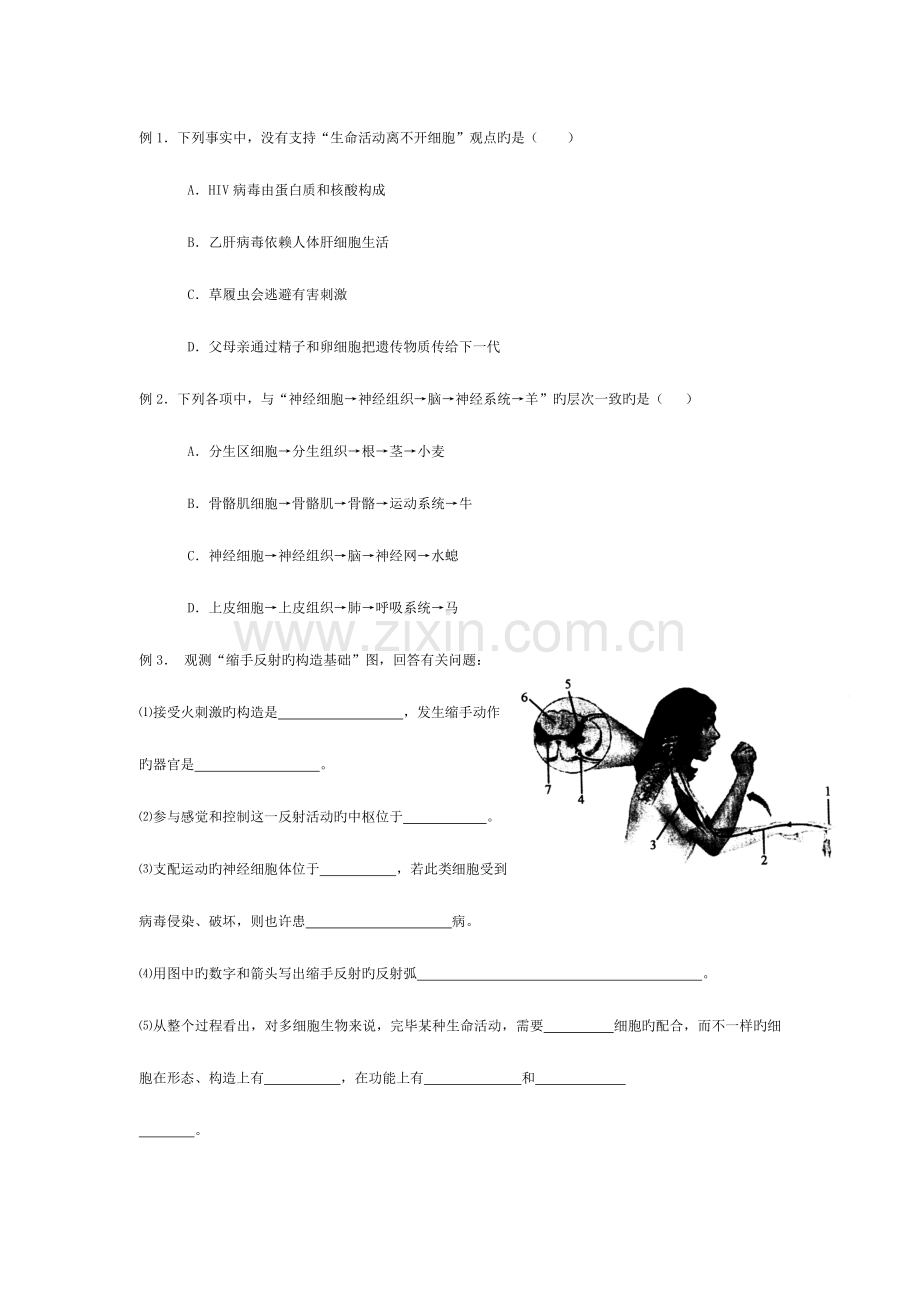 2023年高一生物必修一全套学案配习题单元测试题及答案.doc_第2页