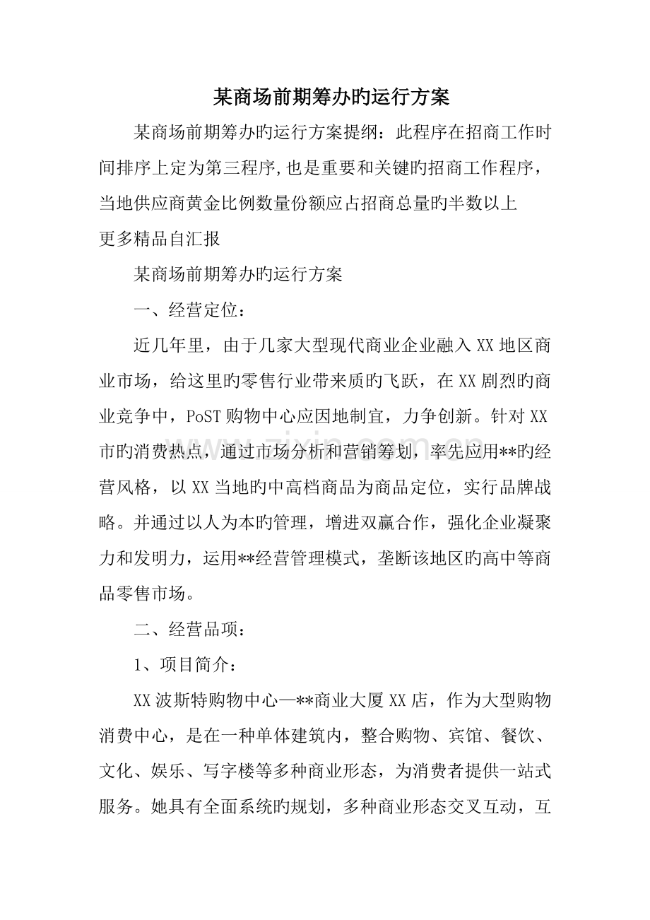 商场前期筹备的运营方案.doc_第1页