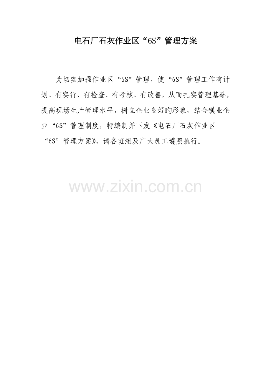 青海盐湖镁业有限公司六S管理方案.docx_第1页