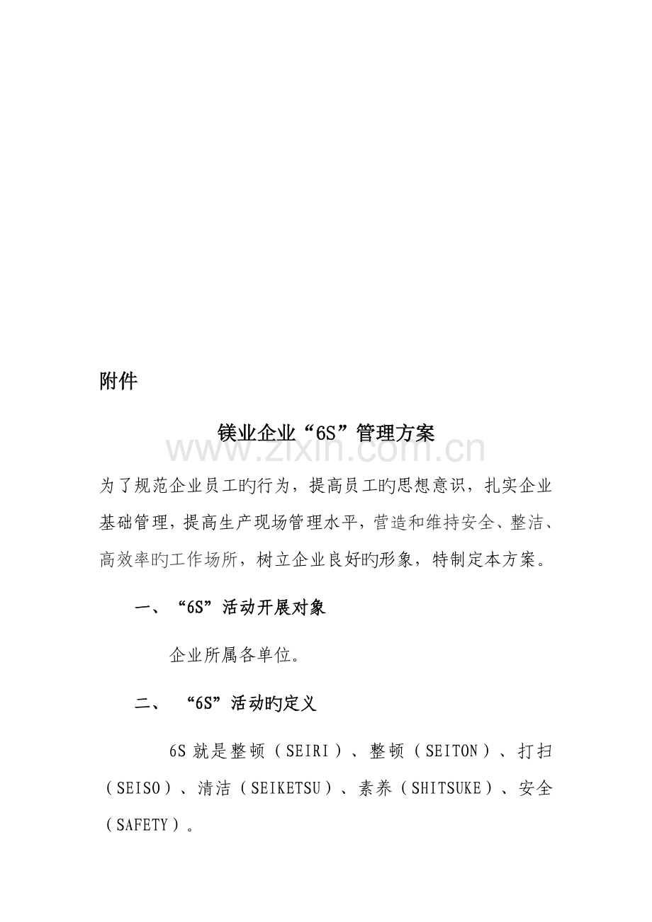 青海盐湖镁业有限公司六S管理方案.docx_第2页