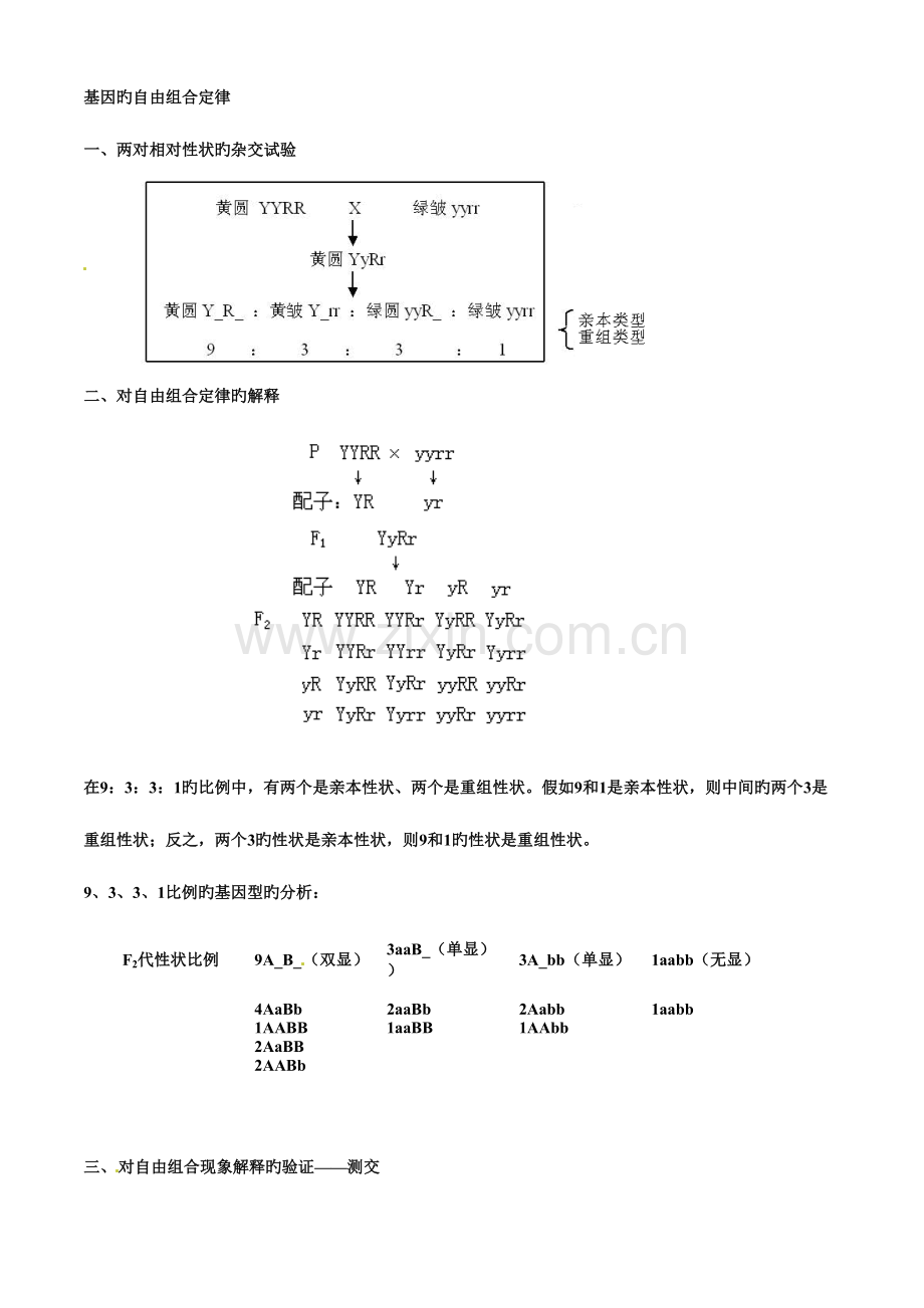 2023年自由组合定律复习知识点习题.doc_第1页