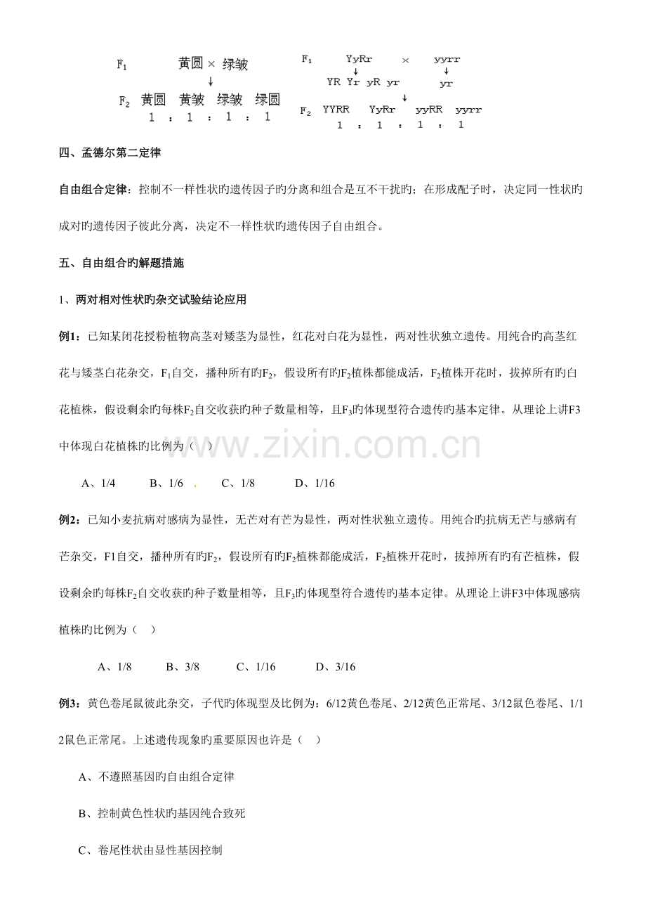 2023年自由组合定律复习知识点习题.doc_第2页